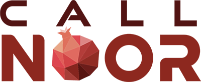 Call Noor Logo